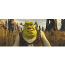 Shrek 4 - F&uuml;r immer Shrek: Das gro&szlig;e Finale