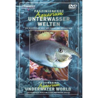 Faszinierende Aquarium Unterwasserwelten